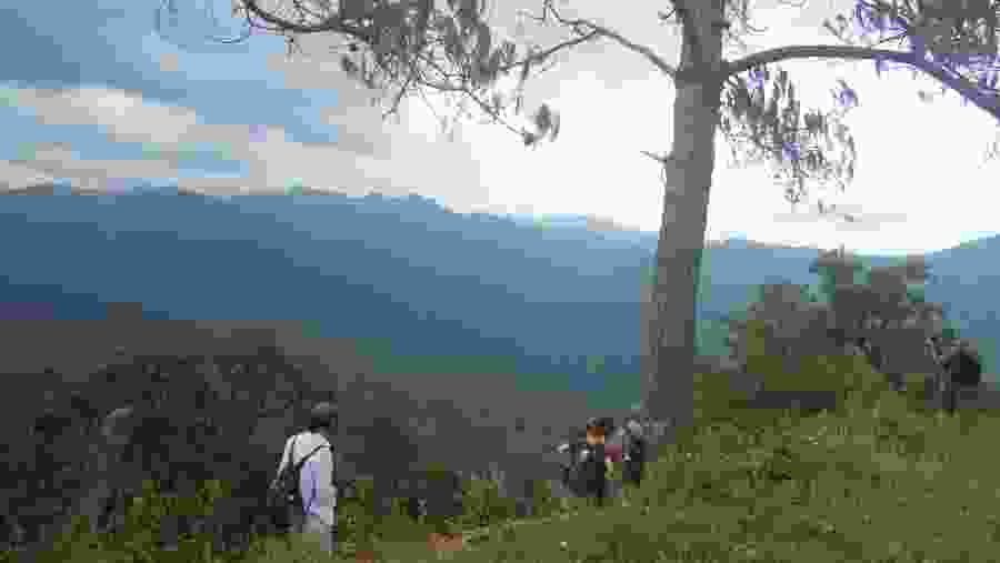 View of the mountain