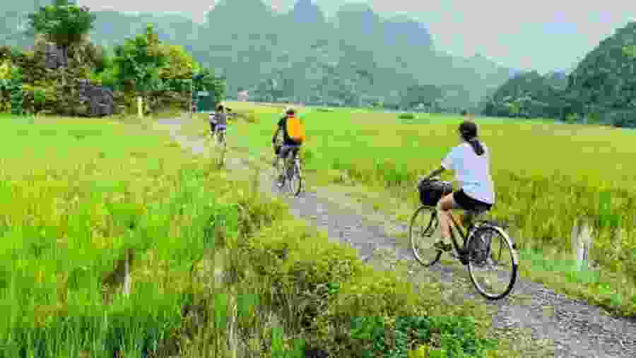 Cycling tour