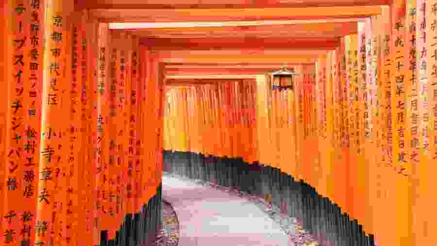 Fushimi Inari Taisha Senbon Torii