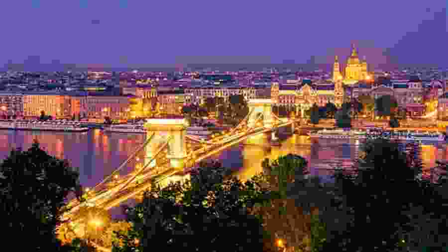 Night city lights