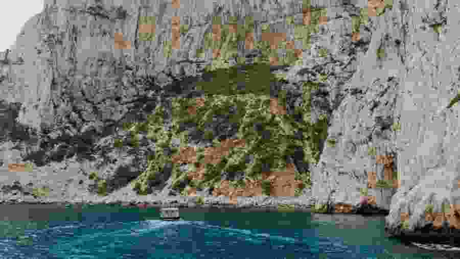 Private trip to Cassis, Calanques & Marseille