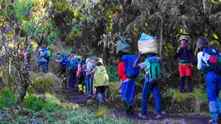Lemosho Route Kilimanjaro Climb