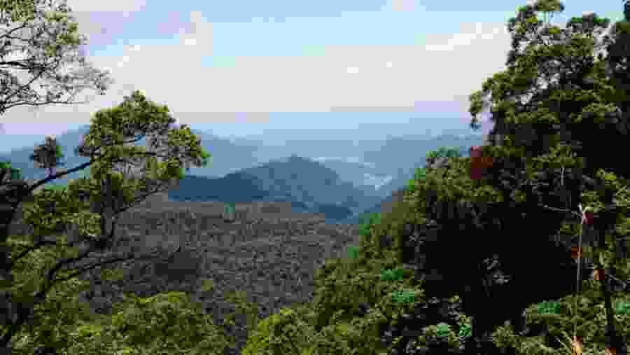 Bach Ma National Park