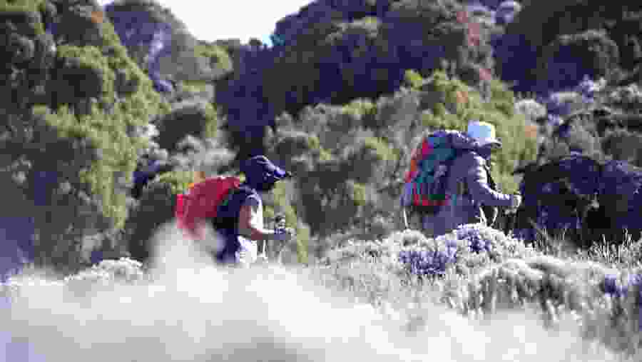 Kilimanjaro Trekking Lemosho Route