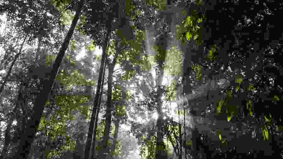 Khadim Nagar National Park