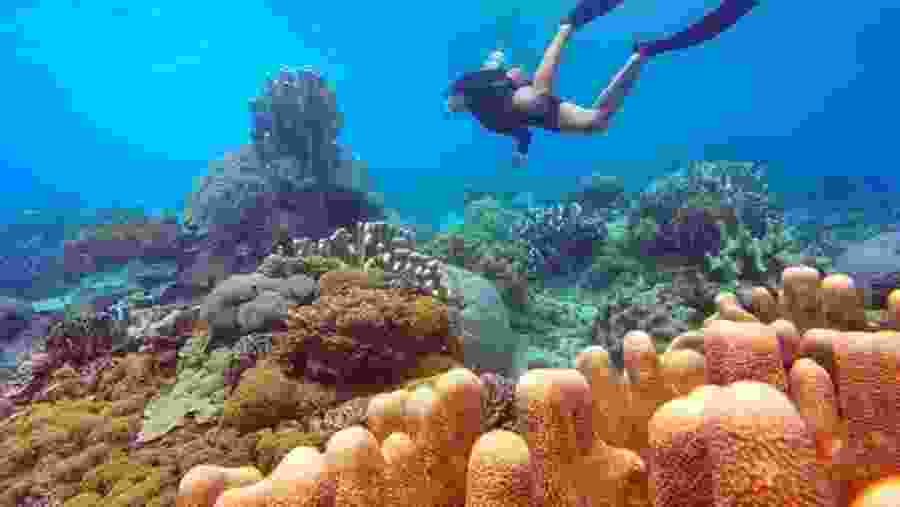 ISLAND HOPPING & SNORKELING EXPERIENCE