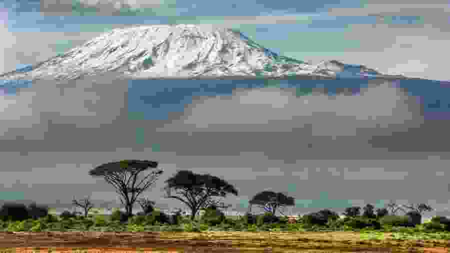 Venture at Kilimanjaro