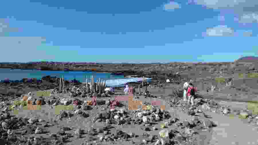 Take a dip in the sea