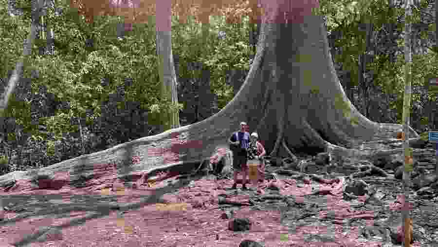 Cat Tien National Park