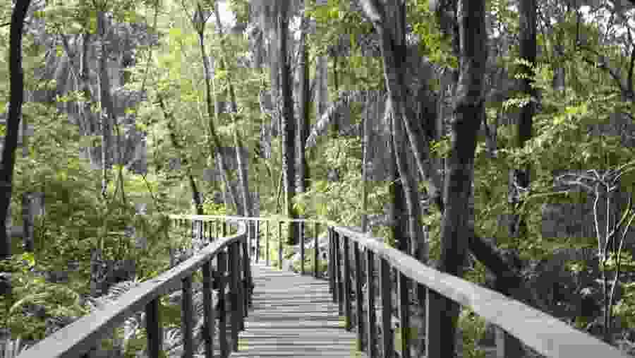 Discover the Real Lagos