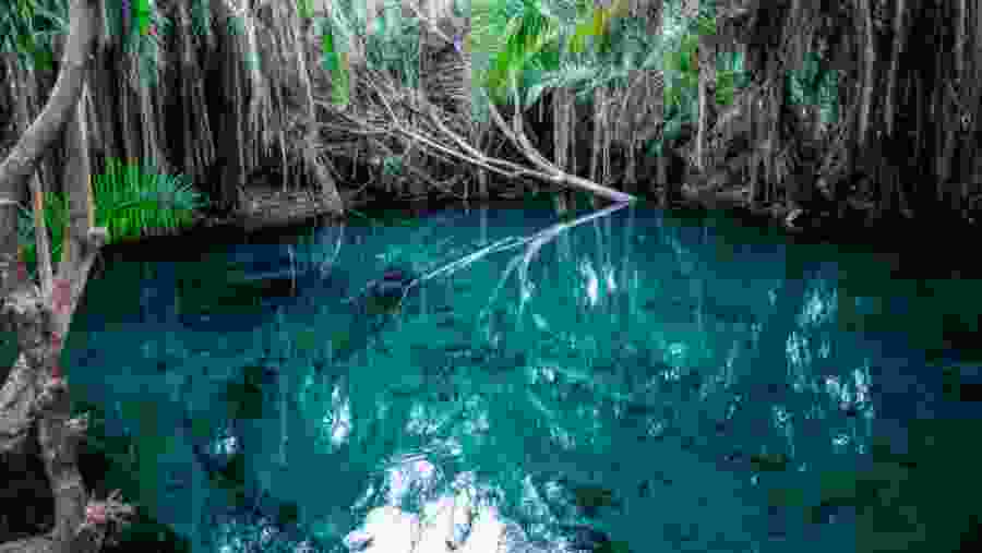 Hot Spring