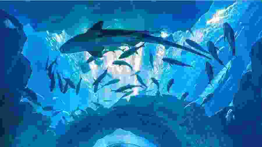Dubai Mall Aquarium