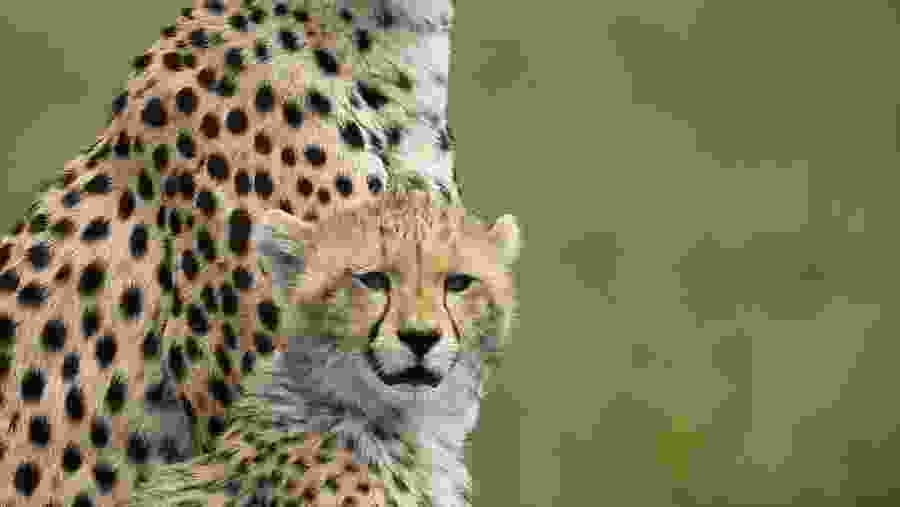 Tarangire National Park