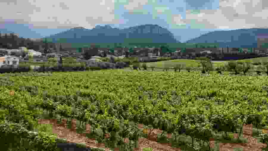 Private trip to Cassis, Calanques & Marseille