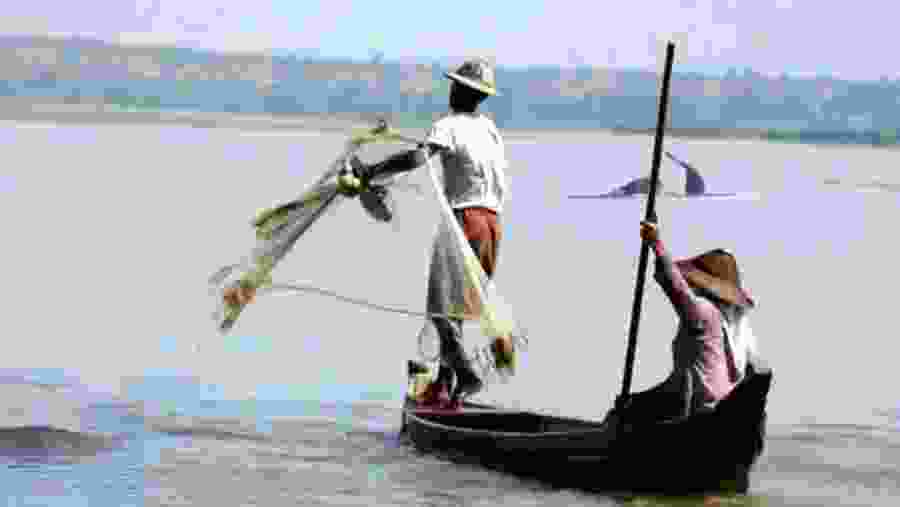 Co-operative fishing between fishermen and Ayeayarwaddy Dolphins