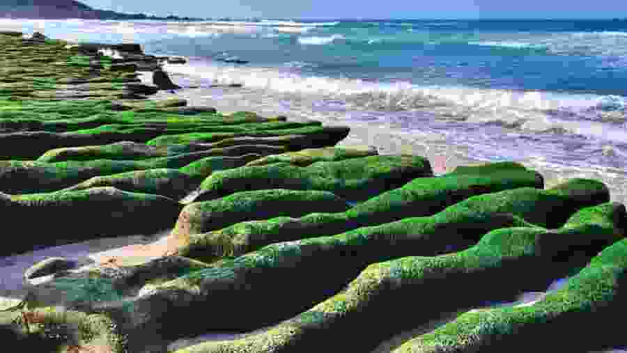 Go to see the Laomei Green Reef