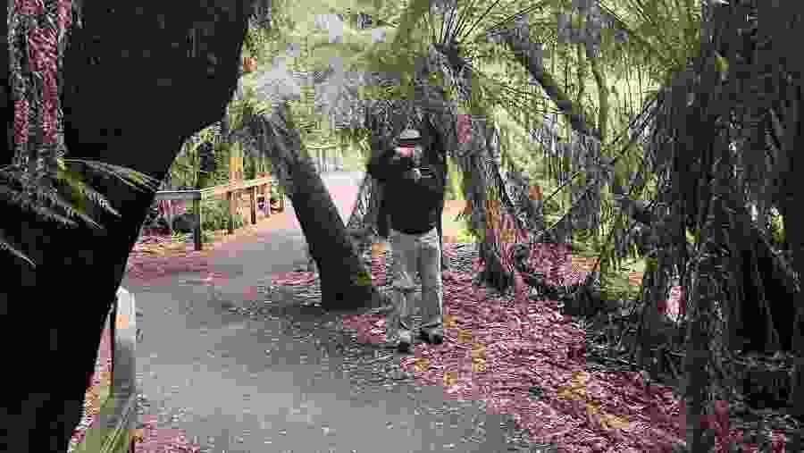 Bonorong wildlife sanctuary