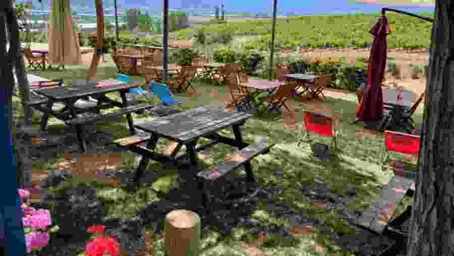 Wine Tasting & Arykanda Ancient City