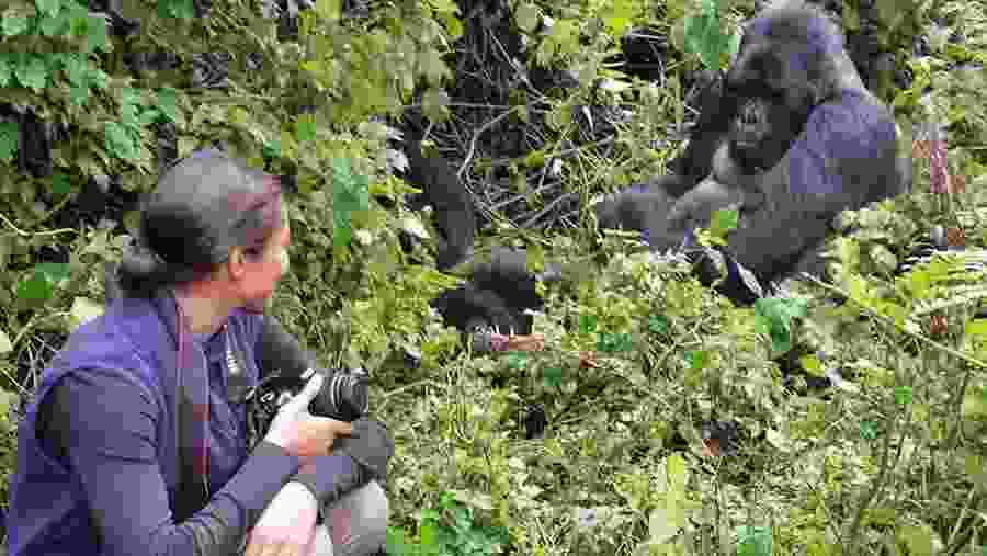 Gorilla Trekking in Uganda (Bwindi)
