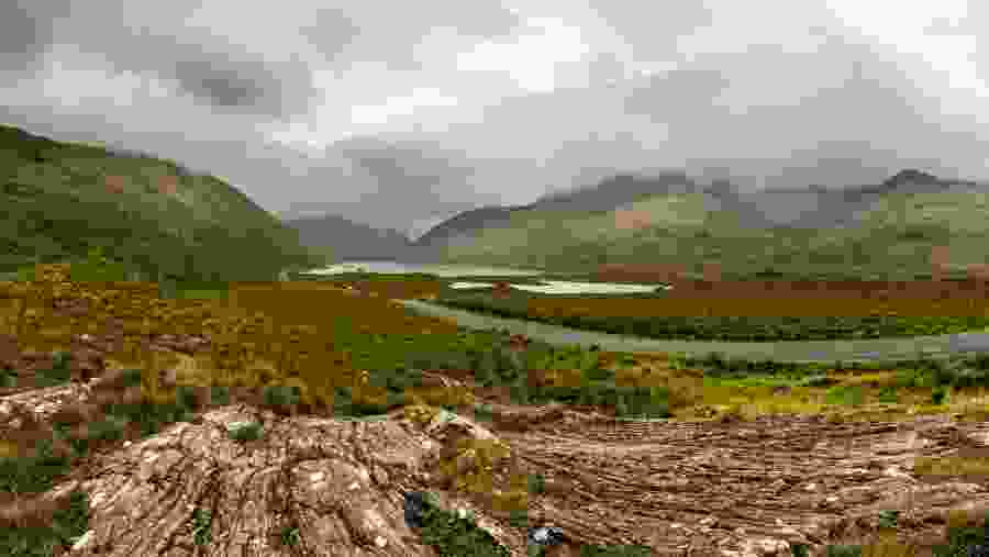 The Burren
