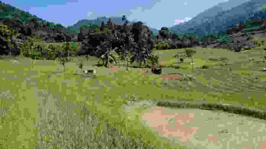 Hike from Kandy to Heeloya