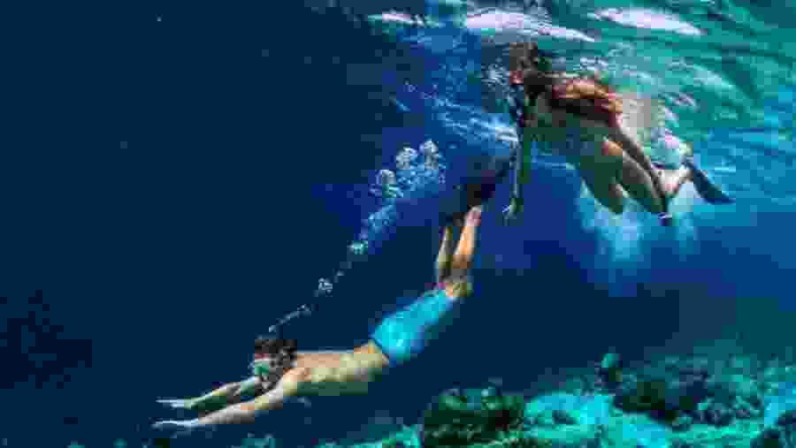 Travelers snorkeling in the Red Sea