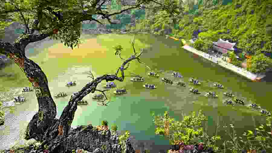 Boat Tour in Ninh Bình