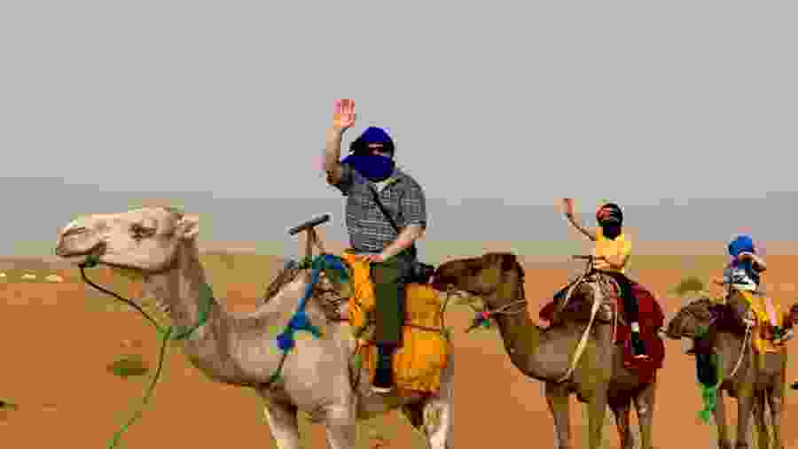 Camel rides in the Sahara Desert