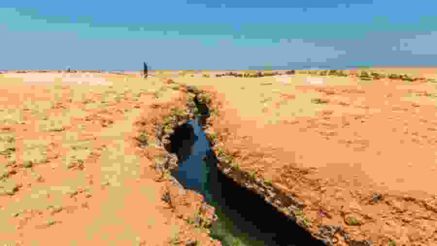 Ras Mohamed Nature Reserve