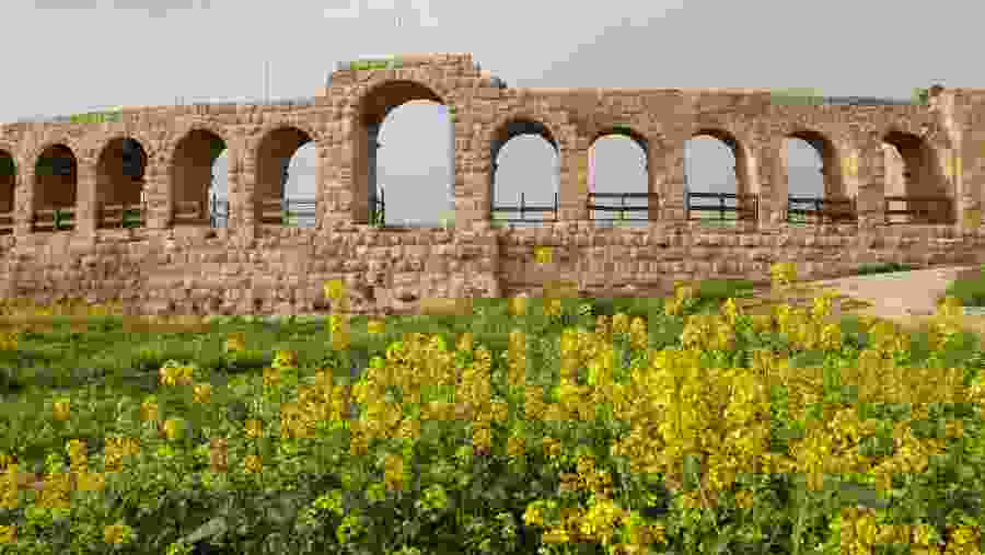 Roman ruins at Jerash