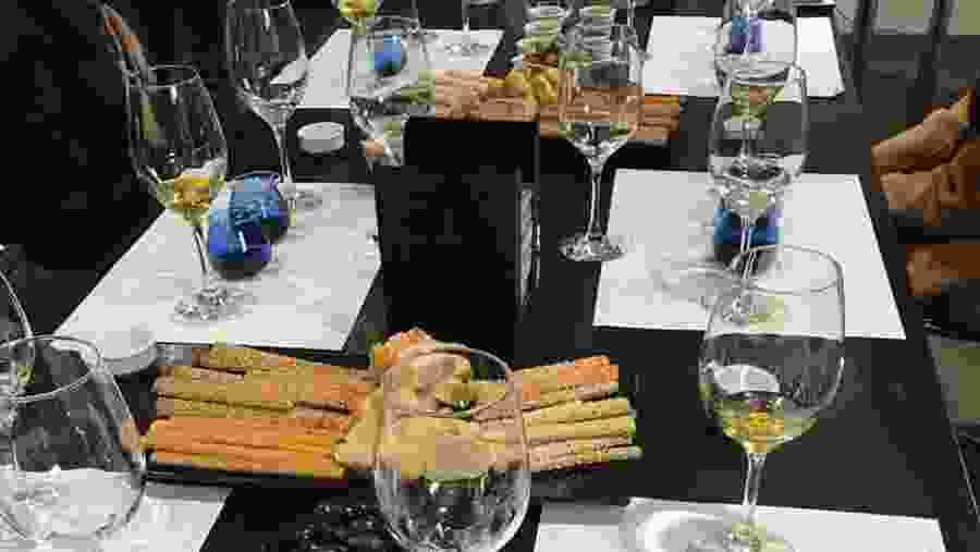 Olive oil tasting