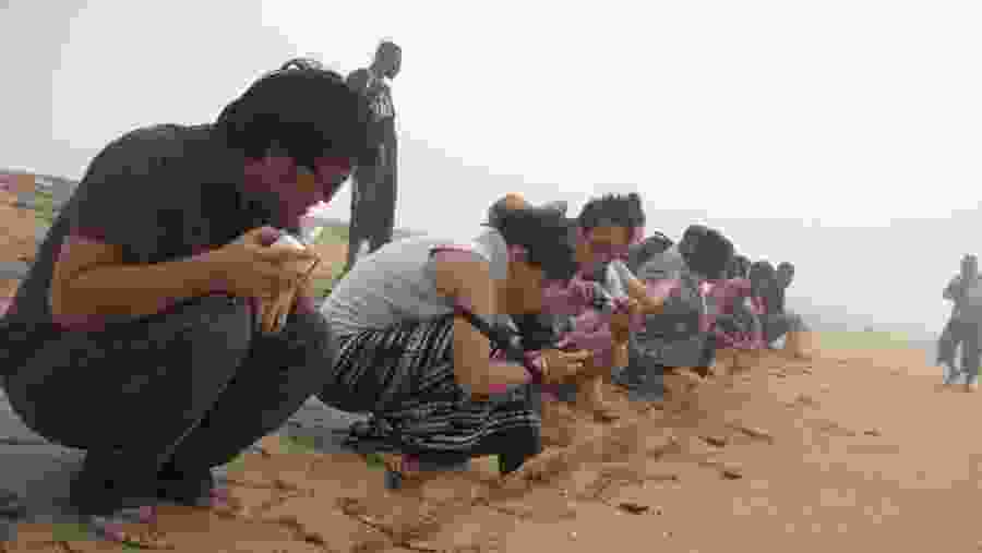 Releasing baby sea turtles