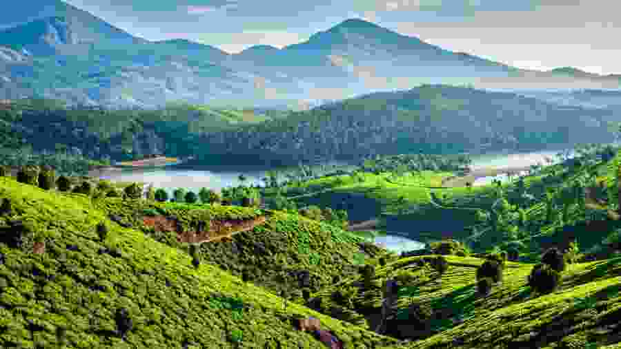Munnar, Kerala