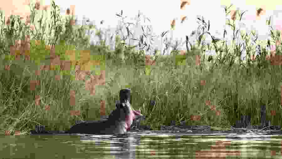 Murchison Falls National Park