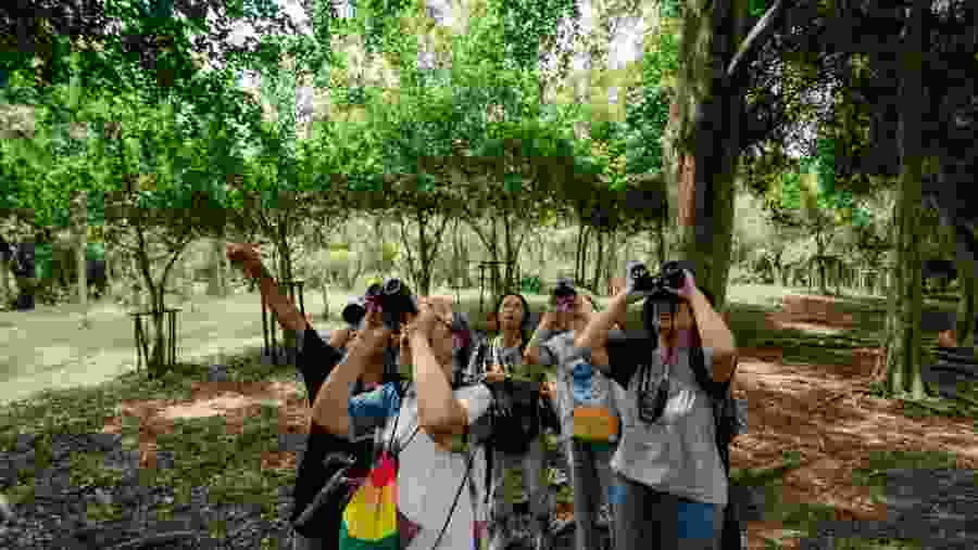 Bird Walk: A City Escape with Wings