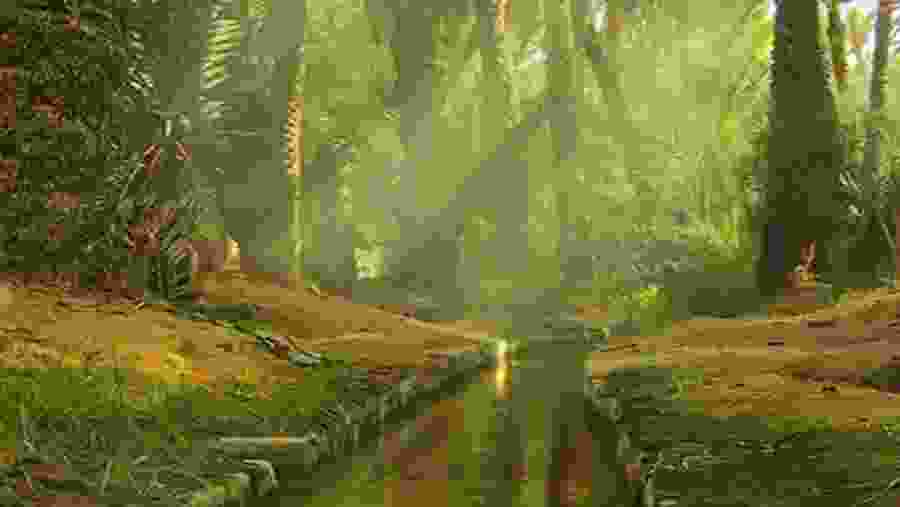 A hidden realm