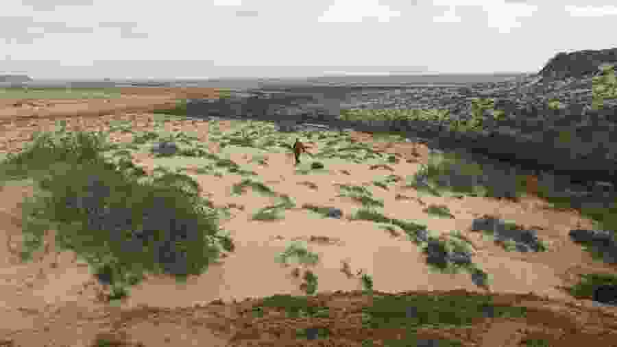 Desert view