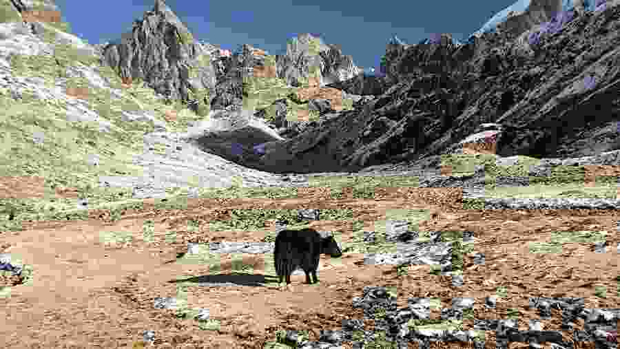 Scenic Landscapes