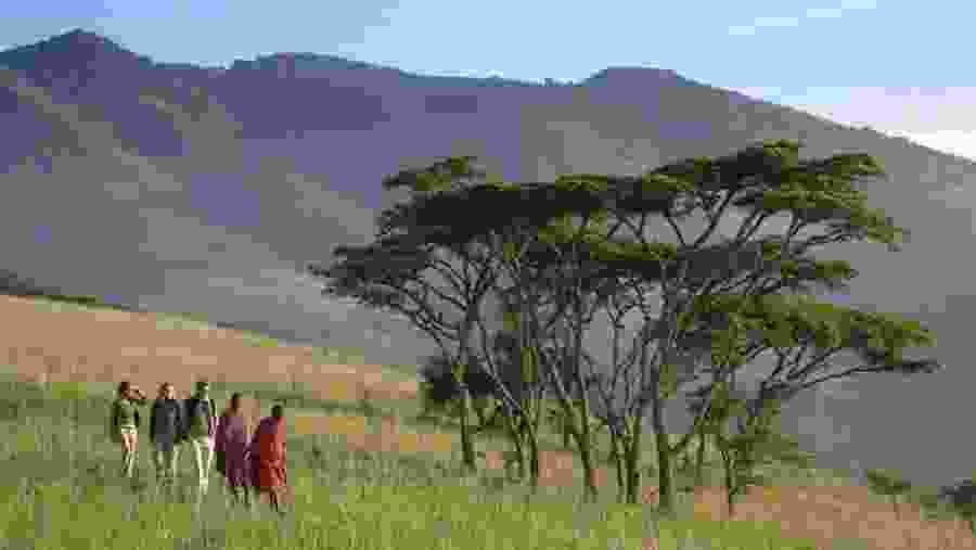 Nature