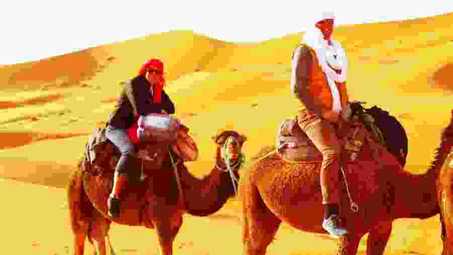 Camel Ride