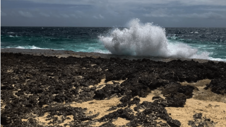Bonaire Washington National Park