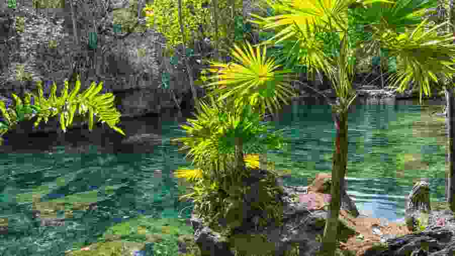 Cenote Mexico