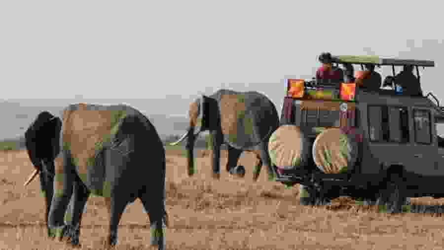 Spot the Big 5 at Masai Mara Game Reserve