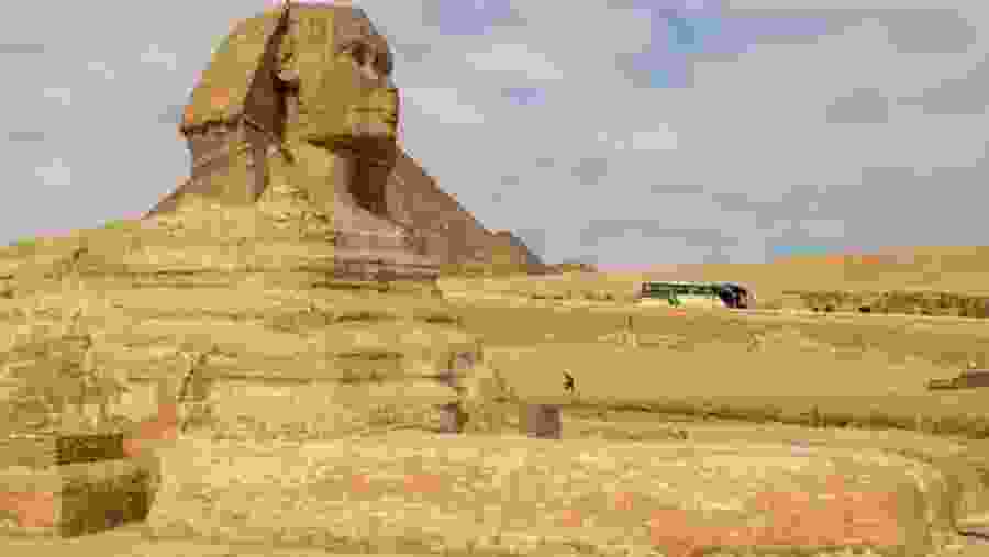 Sphinx In Egypt