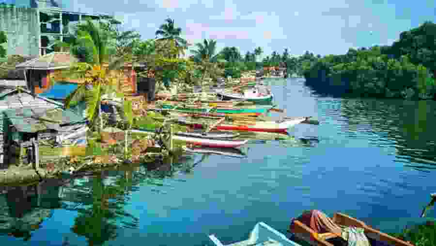 Head to the Negombo lagoon
