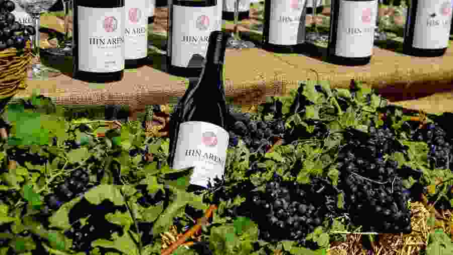 Areni Winery In Armenia