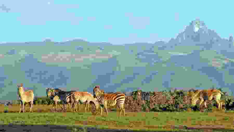 Mount Kenya National Park