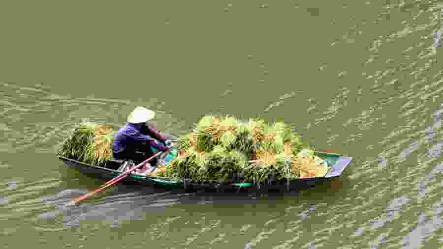 See the locals and their lifestyle