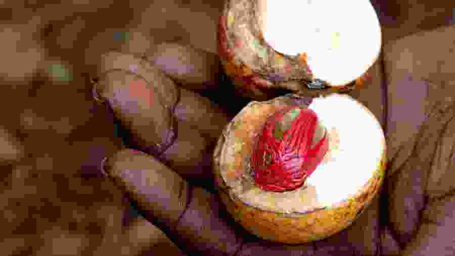 Spices at Zanzibar's Old Market