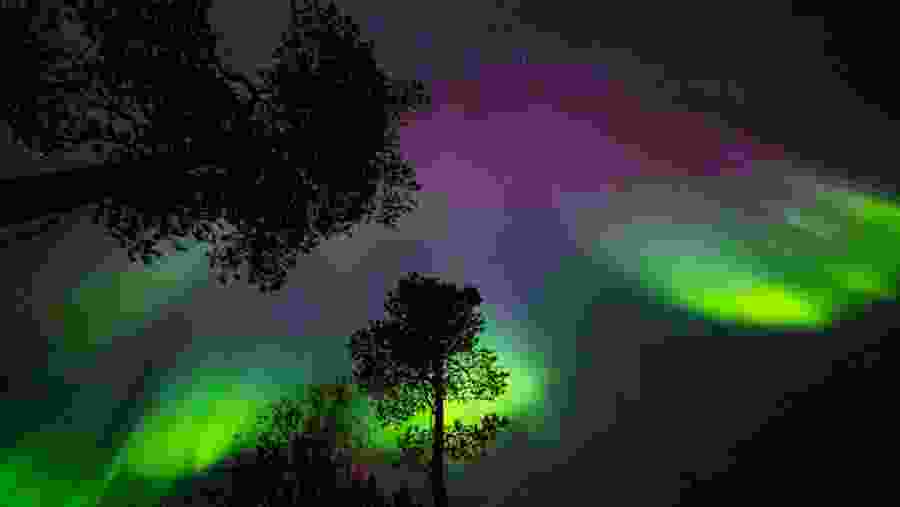 Aurora Borealis